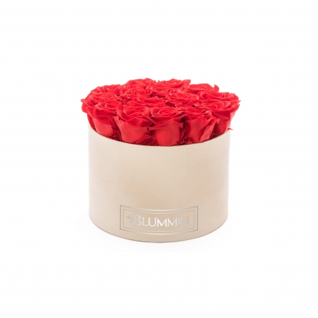 LARGE BLUMMIN NUDE VELVET BOX WITH VIBRANT RED ROSES