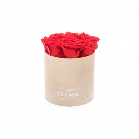 MEDIUM BLUMMIN NUDE VELVET BOX WITH VIBRANT RED ROSES