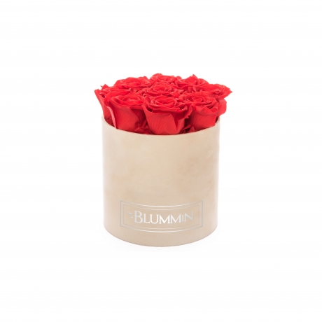 MEDIUM VELVET NUDE BOX WITH VIBRANT RED ROSES