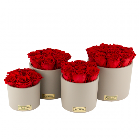 BEIGE CERAMIC POT WITH VIBRANT RED ROSES