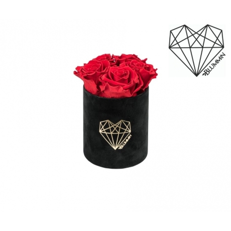 MIDI LOVE - BLACK VELVET BOX WITH VIBRANT RED ROSES