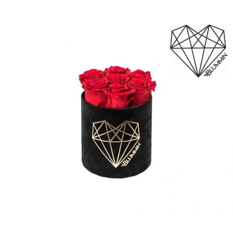 SMALL LOVE - BLACK VELVET BOX WITH VIBRANT RED ROSES