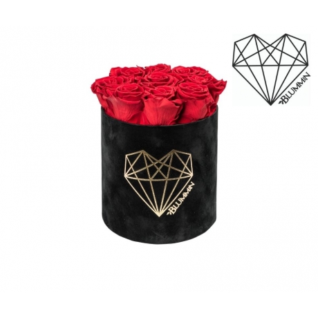 MEDIUM LOVE - BLACK VELVET BOX WITH VIBRANT RED ROSES