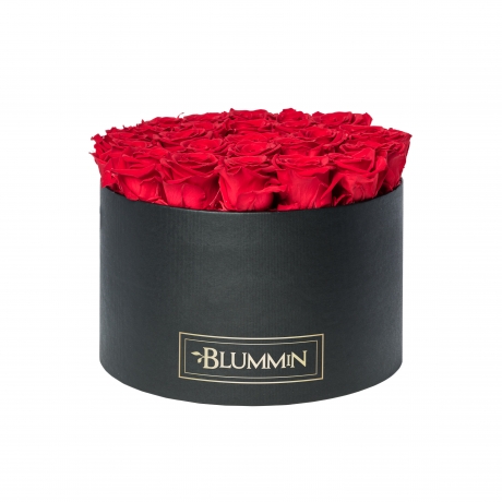 XL BLUMMiN - BLACK BOX WITH VIBRANT RED ROSES