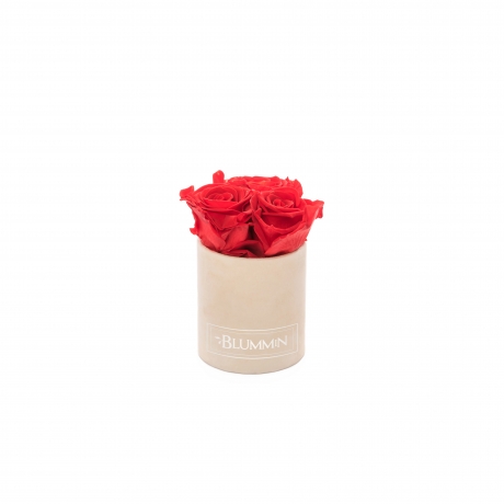 XS BLUMMiN - NUDE VELVET BOX WITH VIBRANT RED ROSES