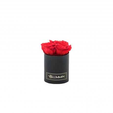 XS BLACK BOX WITH VIBRANT RED ROSES