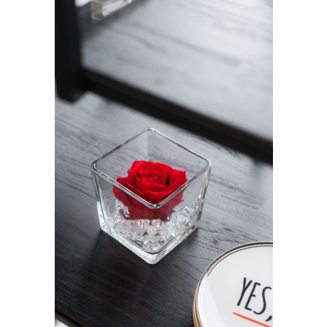 GLASS VASE WITH VIBRANT RED ROSE AND CRYSTALS