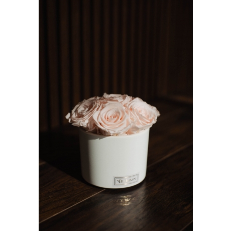 BOUQUET WITH 7 ROSES - WHITE CERAMIC POT WITH ICE PINK ROSES