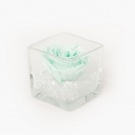 Klaasist vaas 8x8 cm Mint roosiga ja kristallidega S