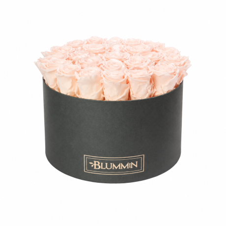 EXTRA LARGE WHITE BOX WITH ICE PINK ROSES
