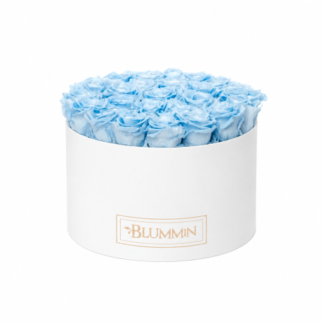 XL BLUMMiN - WHITE BOX WITH BRIDAL PINK ROSES
