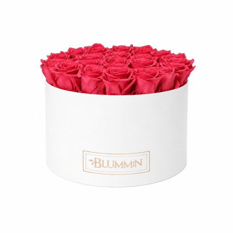 EXTRA LARGE BLUMMiN WHITE BOX WITH BRIDAL PINK ROSES