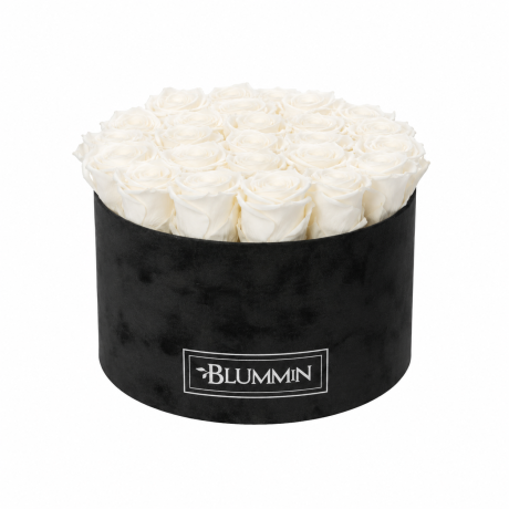 XL BLUMMiN - VELVET BLACK BOX WITH WHITE ROSES