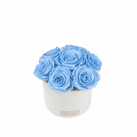 BOUQUET WITH 7 ROSES - WHITE CERAMIC POT WITH ICE PINK ROSES