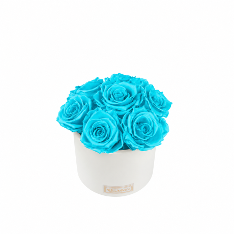 BOUQUET WITH 7 ROSES - WHITE CERAMIC POT WITH ICE PINK ROSES