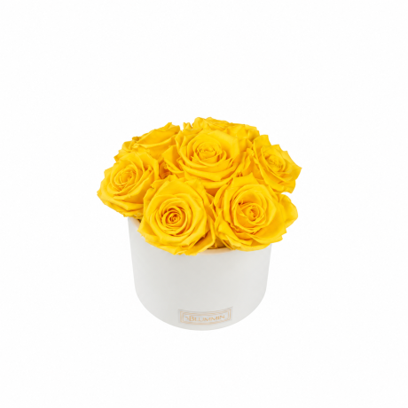 BOUQUET WITH 7 ROSES - WHITE CERAMIC POT WITH ICE PINK ROSES