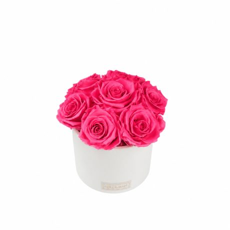 BOUQUET WITH 7 ROSES - WHITE CERAMIC POT WITH ICE PINK ROSES