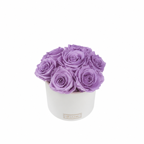  Kauasäilivad 7 lillat roosi valges keraamikas bukett (Lilac)