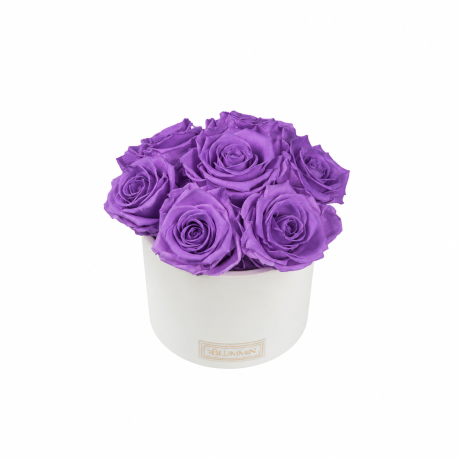 BOUQUET WITH 7 ROSES - WHITE CERAMIC POT WITH ICE PINK ROSES
