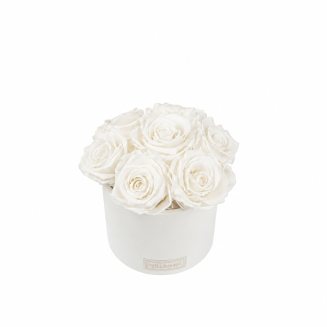 BOUQUET WITH 7 ROSES - WHITE CERAMIC POT WITH ICE PINK ROSES