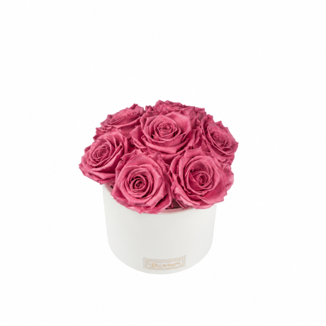 BOUQUET WITH 7 ROSES - WHITE CERAMIC POT WITH ICE PINK ROSES