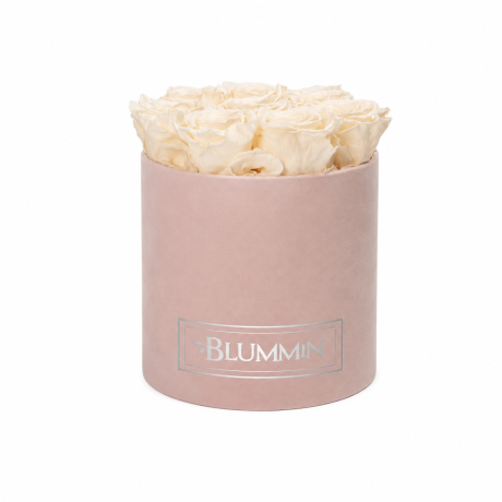 MEDIUM BLUMMiN - HELEROOSA SAMETKARP CHAMPAGNE ROOSIDEGA