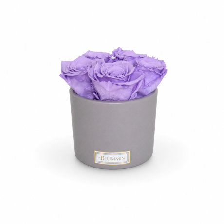 5 ROSES - BEIGE CERAMIC WITH LIGHT VIOLET ROSES