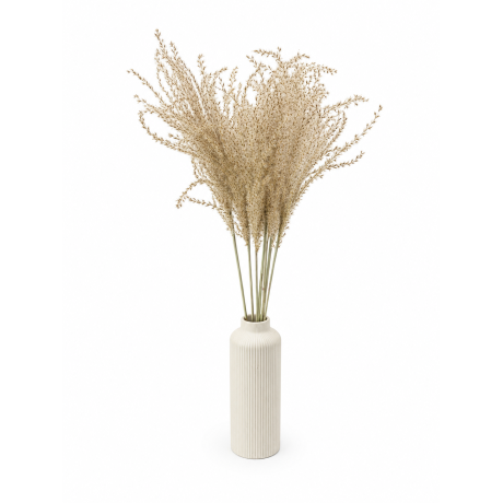 -40% KUIVATATUD MISCANTHUS NATURAALNE
