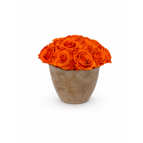 BUKETT 17-19 ROOSIGA - PRONKS KERAAMIKA ORANGE ROOSIDEGA