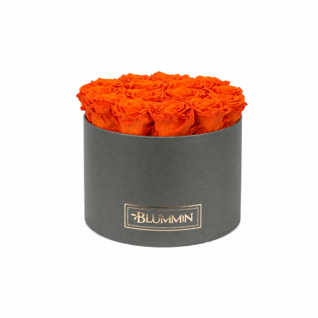 LARGE BLUMMIN - TUMEHALL KARP ORANGE ROOSIDEGA