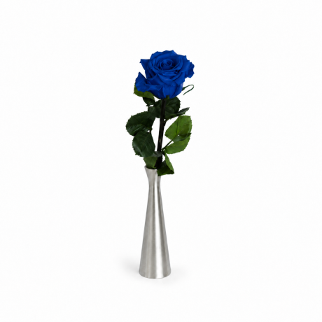 Спящие розы со стеблем - AQUAMARINE (25 cm)