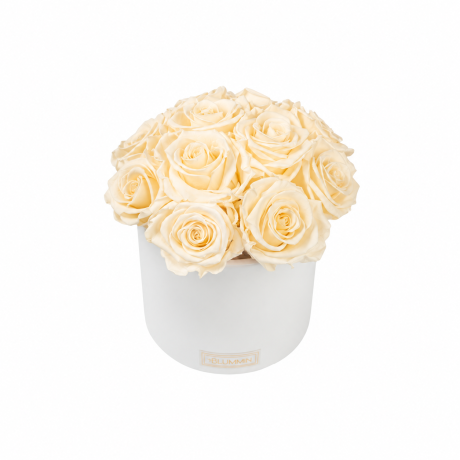 BOUQUET WITH 11 ROSES - WHITE CERAMIC POT WITH ICE PINK ROSES