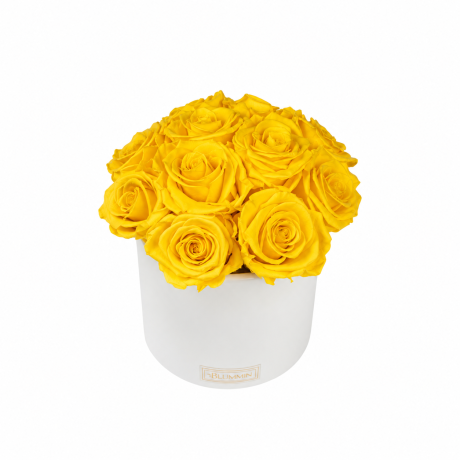 BOUQUET WITH 11 ROSES - WHITE CERAMIC POT WITH ICE PINK ROSES