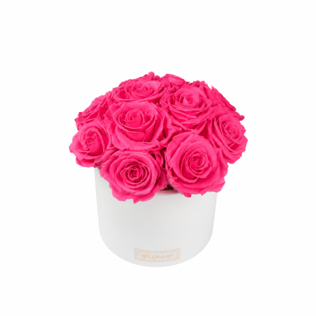 BOUQUET WITH 11 ROSES - WHITE CERAMIC POT WITH ICE PINK ROSES