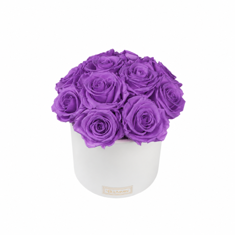 BOUQUET WITH 11 ROSES - WHITE CERAMIC POT WITH ICE PINK ROSES