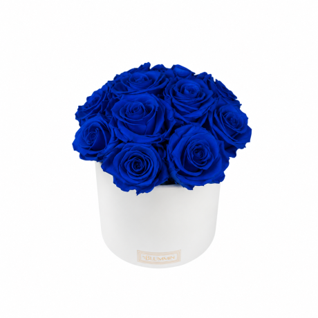 BOUQUET WITH 11 ROSES - WHITE CERAMIC POT WITH ICE PINK ROSES
