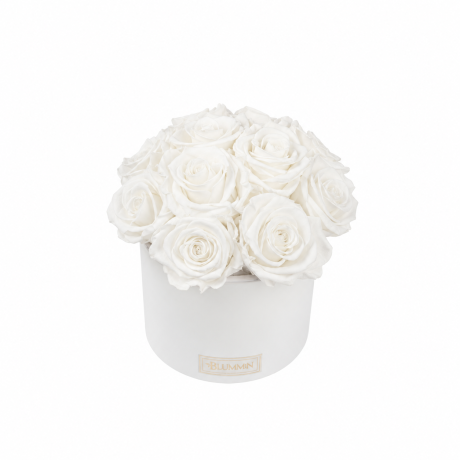BOUQUET WITH 11 ROSES - WHITE CERAMIC POT WITH ICE PINK ROSES
