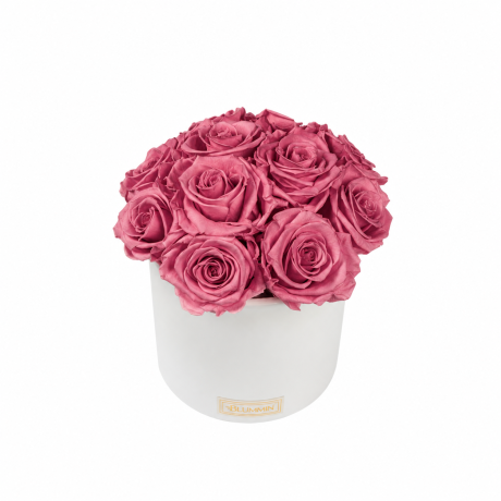BOUQUET WITH 11 ROSES - WHITE CERAMIC POT WITH ICE PINK ROSES