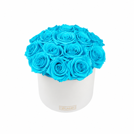 BOUQUET WITH 15 ROSES - WHITE CERAMIC POT WITH CHAMPAGNE ROSES
