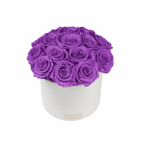 BOUQUET WITH 15 ROSES - WHITE CERAMIC POT WITH CHAMPAGNE ROSES