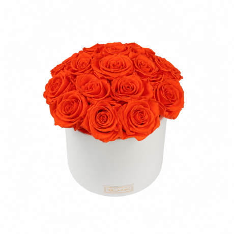 Kauasäilivad 15 oranži roosi valges keraamikas bukett (Orange)