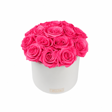 Kauasäilivad 15 roosat roosi valges keraamikas bukett (Coral Pink)