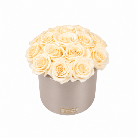 BOUQUET WITH 15 ROSES - WHITE CERAMIC POT WITH CHAMPAGNE ROSES