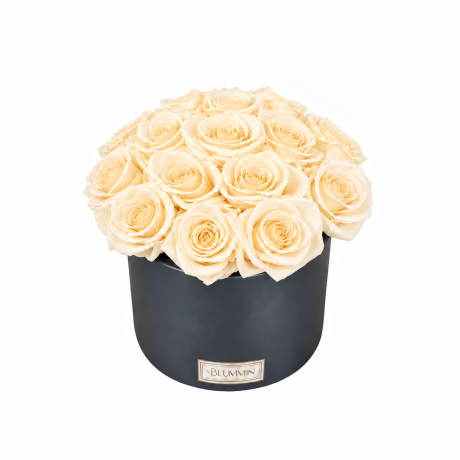 BOUQUET WITH 15 ROSES - WHITE CERAMIC POT WITH CHAMPAGNE ROSES