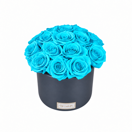 BOUQUET WITH 15 ROSES - WHITE CERAMIC POT WITH CHAMPAGNE ROSES
