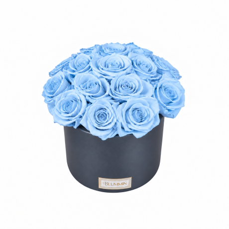 BOUQUET WITH 15 ROSES - WHITE CERAMIC POT WITH CHAMPAGNE ROSES