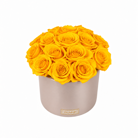 BOUQUET WITH 15 ROSES - WHITE CERAMIC POT WITH CHAMPAGNE ROSES
