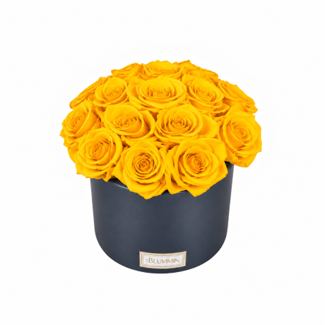 BOUQUET WITH 15 ROSES - WHITE CERAMIC POT WITH CHAMPAGNE ROSES