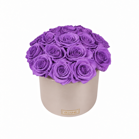 BOUQUET WITH 15 ROSES - WHITE CERAMIC POT WITH CHAMPAGNE ROSES