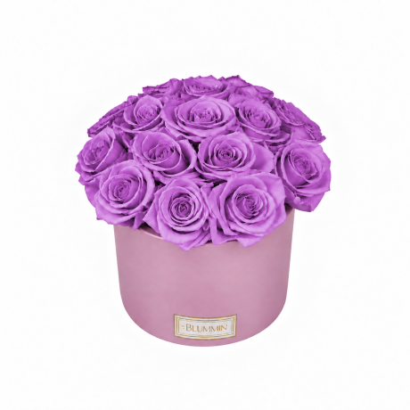 BOUQUET WITH 15 ROSES - WHITE CERAMIC POT WITH CHAMPAGNE ROSES